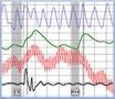 santa barbara polygraph